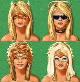 all4.jpg